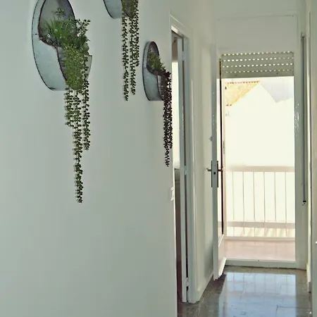 Light Apartment *